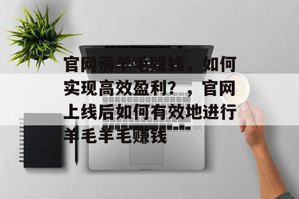 官网薅羊毛赚钱，如何实现高效盈利？，官网上线后如何有效地进行羊毛羊毛赚钱