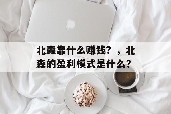 北森靠什么赚钱？，北森的盈利模式是什么？