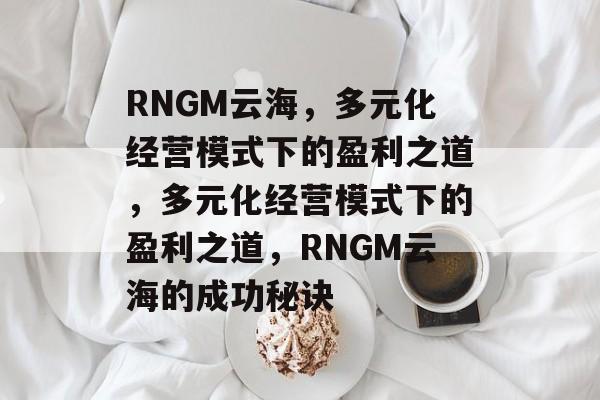 RNGM云海，多元化经营模式下的盈利之道，多元化经营模式下的盈利之道，RNGM云海的成功秘诀