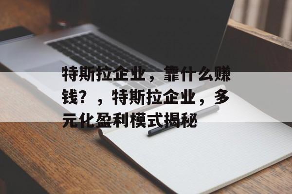 特斯拉企业，靠什么赚钱？，特斯拉企业，多元化盈利模式揭秘