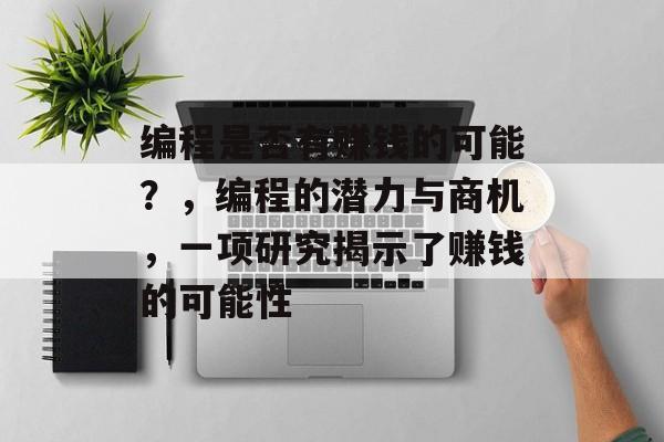 编程是否有赚钱的可能？，编程的潜力与商机，一项研究揭示了赚钱的可能性