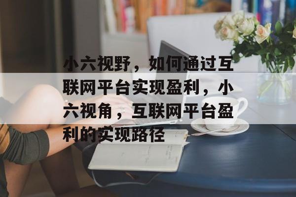 小六视野，如何通过互联网平台实现盈利，小六视角，互联网平台盈利的实现路径