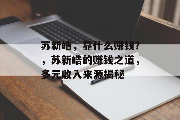 苏新皓，靠什么赚钱？，苏新皓的赚钱之道，多元收入来源揭秘