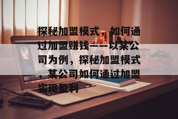 探秘加盟模式，如何通过加盟赚钱——以某公司为例，探秘加盟模式，某公司如何通过加盟实现盈利