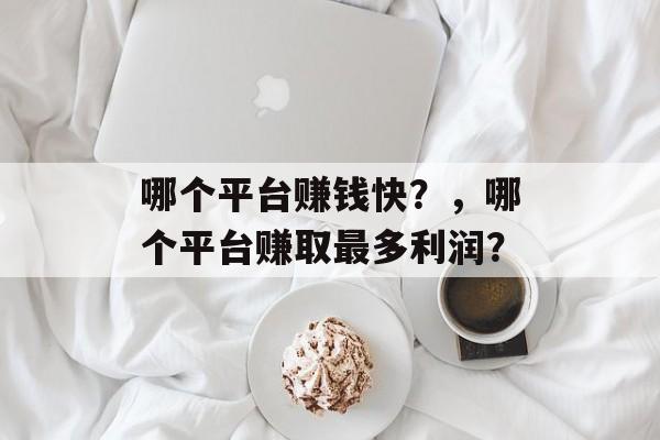 哪个平台赚钱快？，哪个平台赚取最多利润？