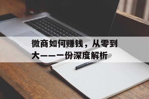 微商如何赚钱，从零到大——一份深度解析