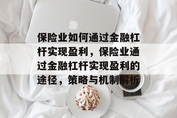 保险业如何通过金融杠杆实现盈利，保险业通过金融杠杆实现盈利的途径，策略与机制解析