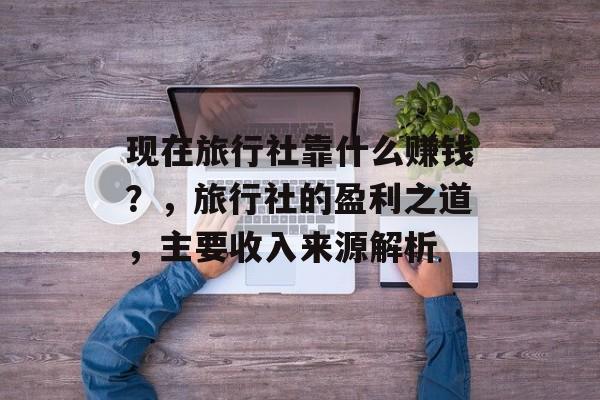 现在旅行社靠什么赚钱？，旅行社的盈利之道，主要收入来源解析