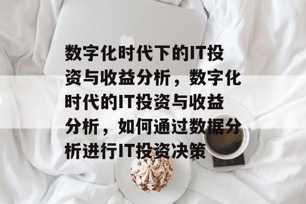 数字化时代下的IT投资与收益分析，数字化时代的IT投资与收益分析，如何通过数据分析进行IT投资决策