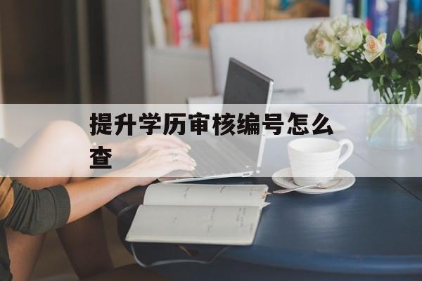 提升学历审核编号怎么查