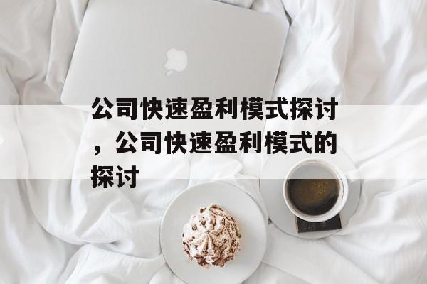 公司快速盈利模式探讨，公司快速盈利模式的探讨