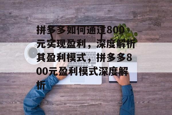 拼多多如何通过800元实现盈利，深度解析其盈利模式，拼多多800元盈利模式深度解析