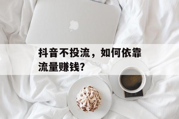 抖音不投流，如何依靠流量赚钱？