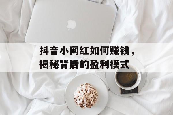 抖音小网红如何赚钱，揭秘背后的盈利模式