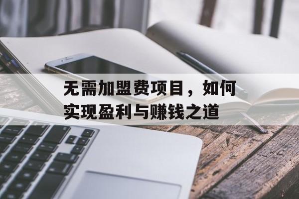 无需加盟费项目，如何实现盈利与赚钱之道