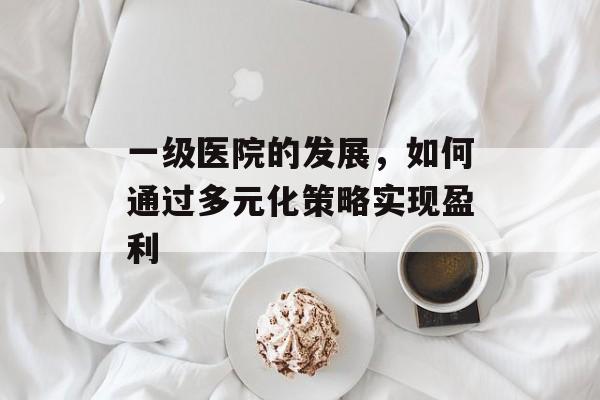 一级医院的发展，如何通过多元化策略实现盈利