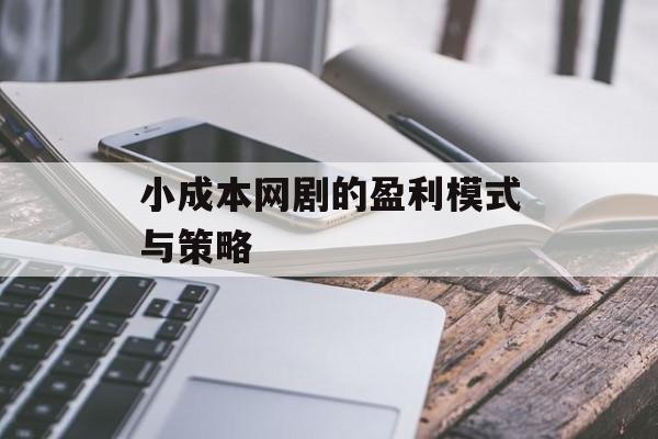 小成本网剧的盈利模式与策略