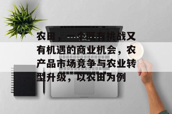 农田，一个既有挑战又有机遇的商业机会，农产品市场竞争与农业转型升级，以农田为例